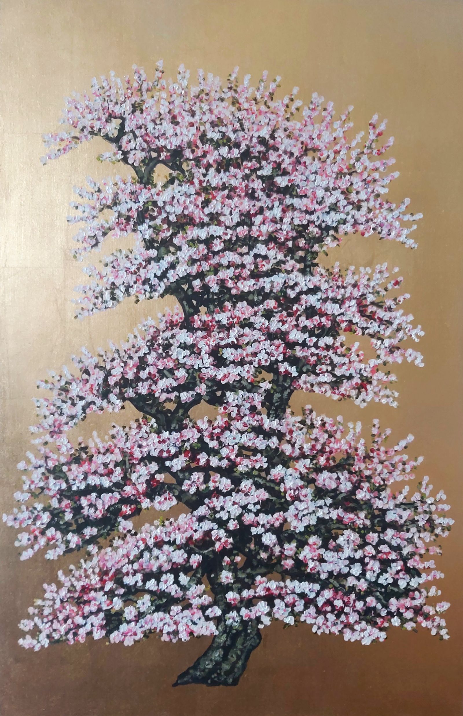 Delmonica, Flowering Cherry Blossom