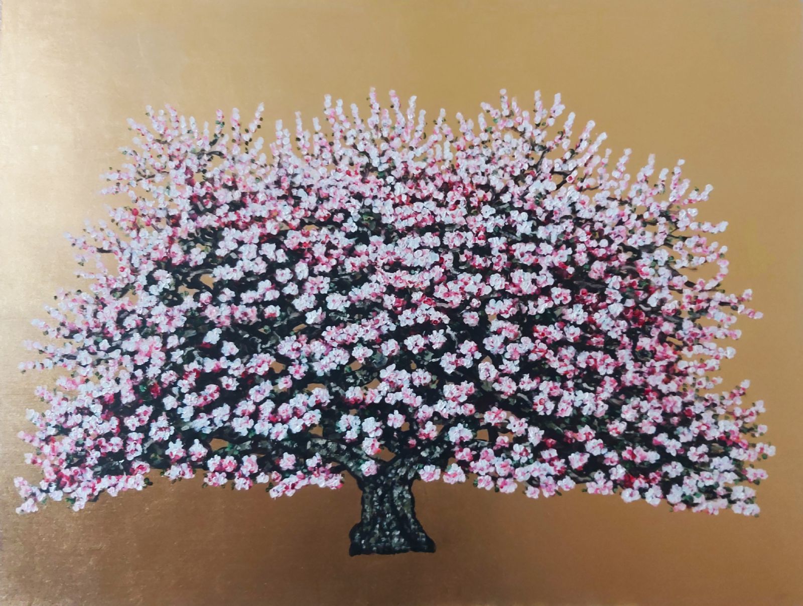 Rosetta, Flowering Cherry Blossom