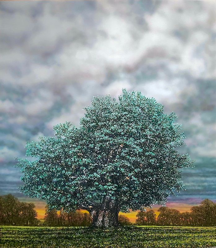 The Helmsman Oak