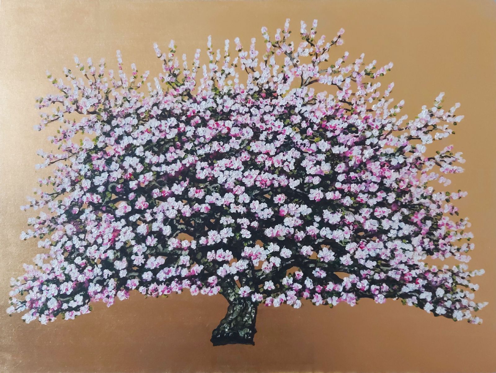 Troubador, Flowering Cherry Blossom